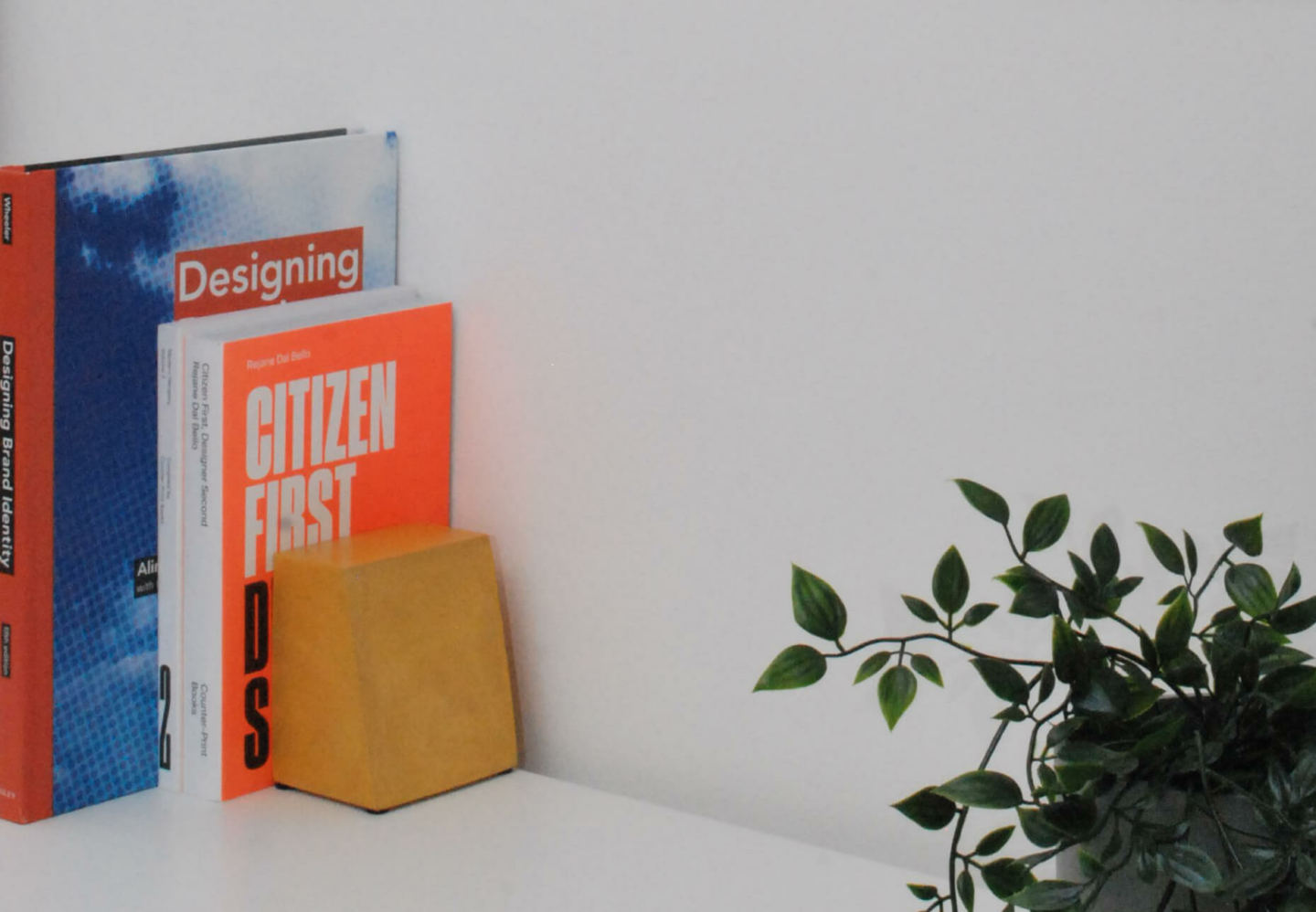 Books on design with a plant on a white desk.